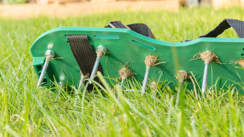 Lawn aerator shoe lying on its side in grass