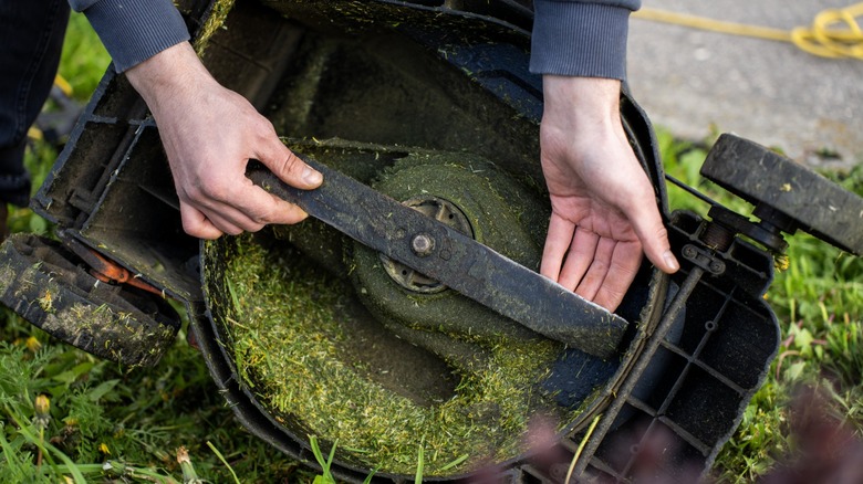 Close up of a person holding up a lawn mower blade
