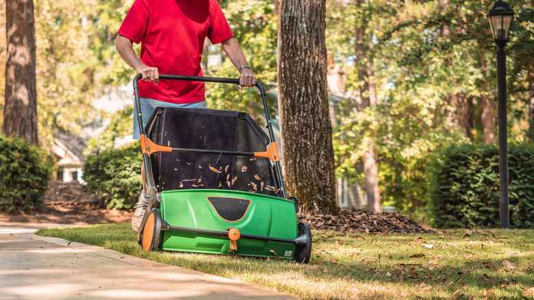 Person in red shirt pushing a lawn sweeper across grass
