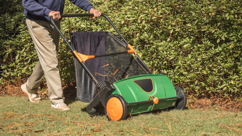 Person pushing a lawn sweeper on debris-filled lawn