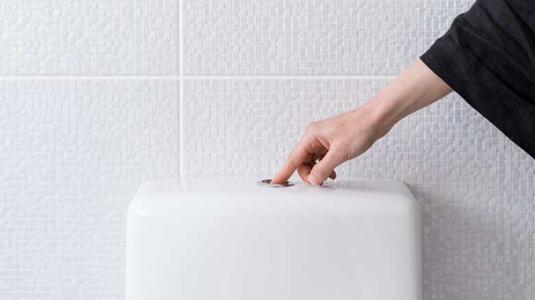 Person pushing toilet flush button