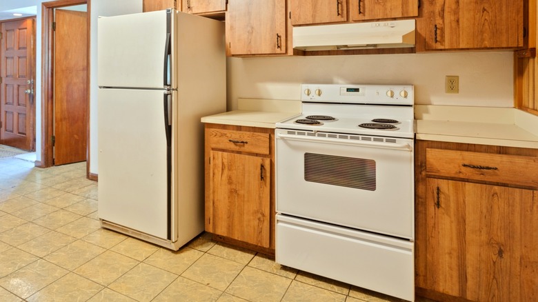 retro refrigerator and range in an older style kitchen