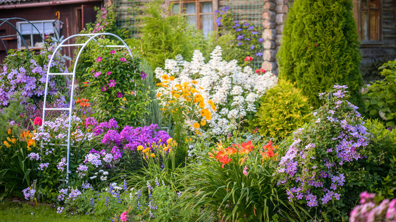 A garden packed with healthy flowers