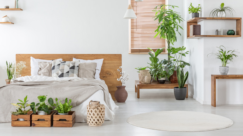 Platform bed in bedroom 