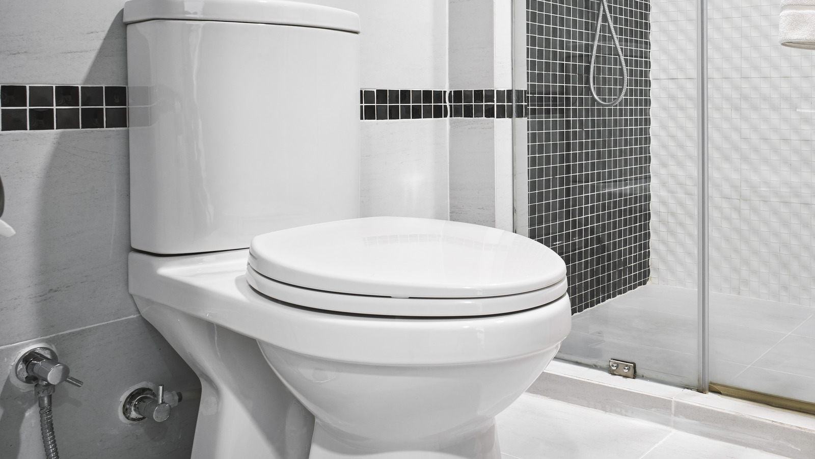 Are PROFLO Toilets A Good BudgetFriendly Option? What Our Expert Says
