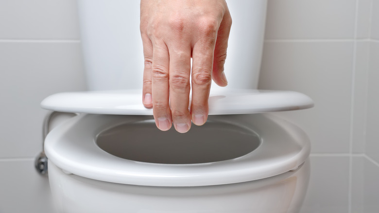 hand lifting toilet seat
