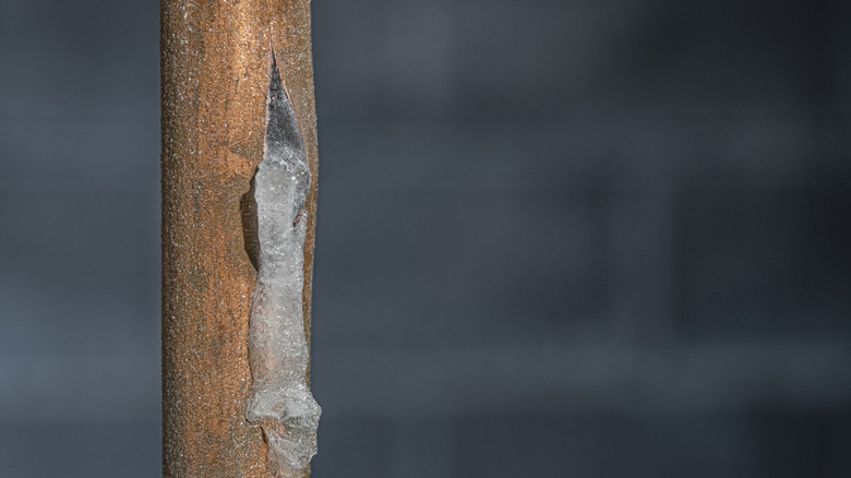 Ice bulging out of a copper pipe that has cracked
