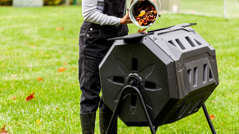 A gardener tips table scraps from a small bucket into a black plastic tumbling composter in the backyard.