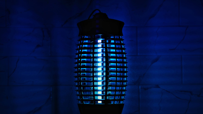 A bug zapper with a blue light