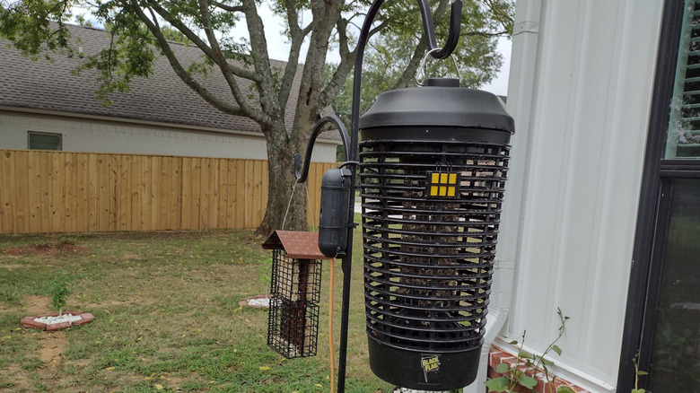 A bug zapper hanging outside