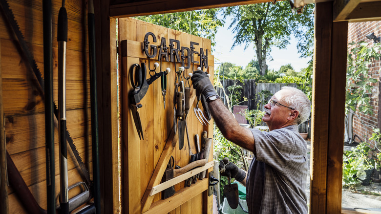 person grabbing garden tool from shed