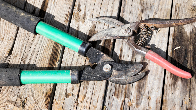 two used garden tools on faded wooden table