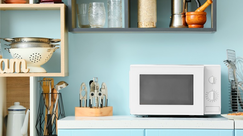 White microwave in blue kitchen