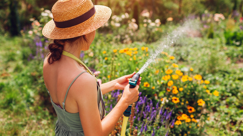 Woman watering plants with a hose