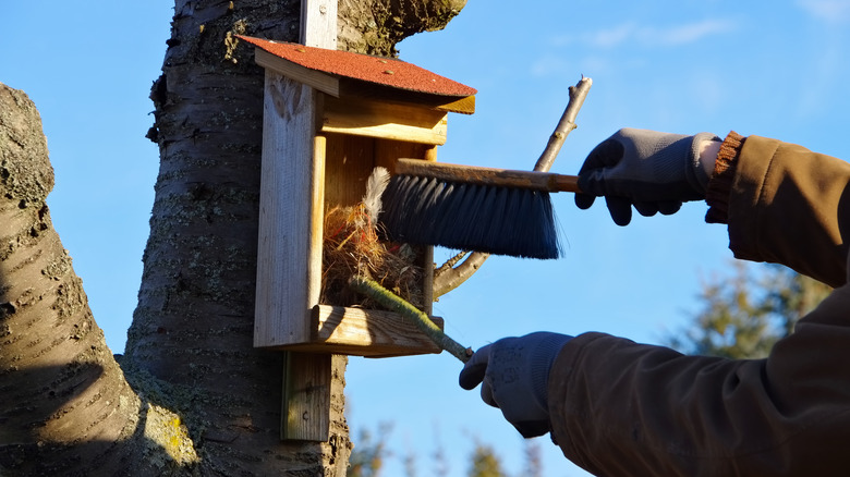 Someone cleaning a birdhouse