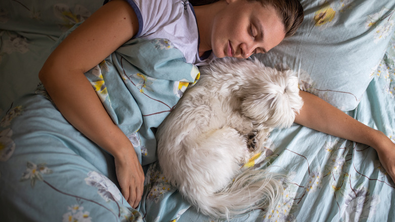 Person sleeping with dog