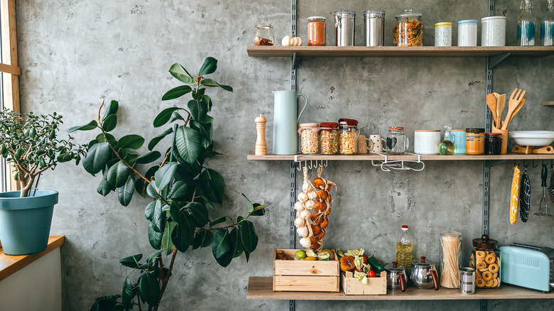 Items on a shelving unit