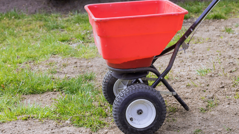 Drop lawn spreader on lawn