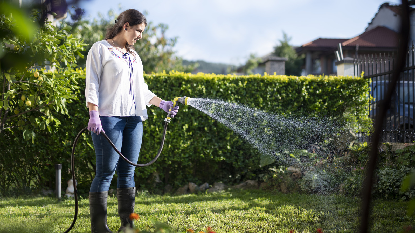 Are You Watering Your Lawn Enough After Hydroseeding?