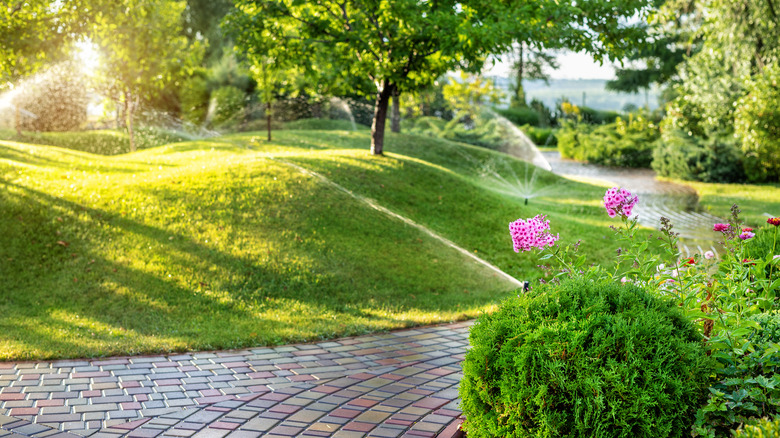 Sprinkler system irrigating lawn