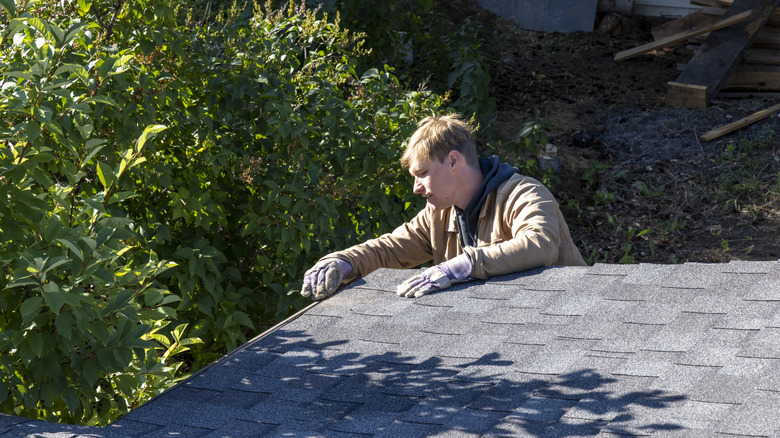 Man inspecting asphalt roof shingles