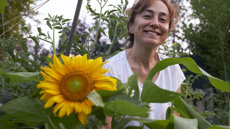 gardener with sunflower