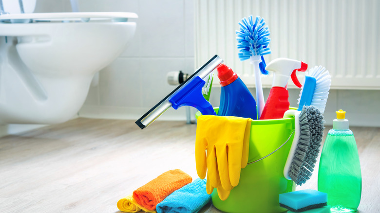 toilet cleaning products in a bathroom