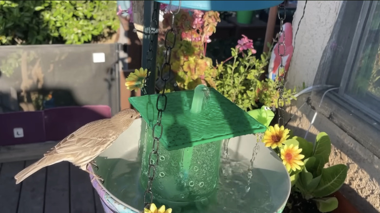 A DIY hanging birdbath on a bright porch.