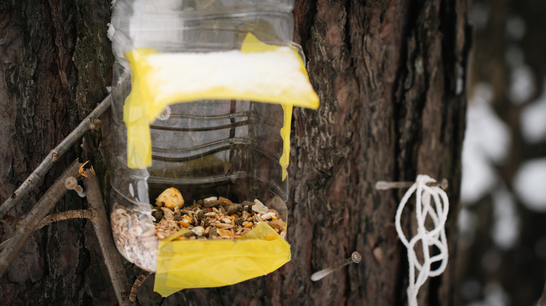 A hang holding a pink milk carton bird feeder.