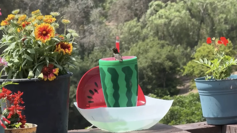A hummingbird fountain made from a watermelon cup.