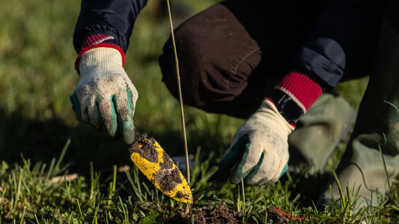 Man using a gardening trowel in garden