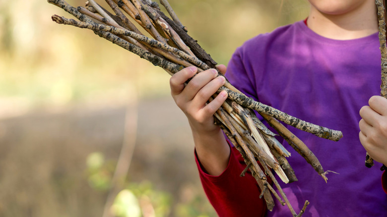 young person collecting small sticks