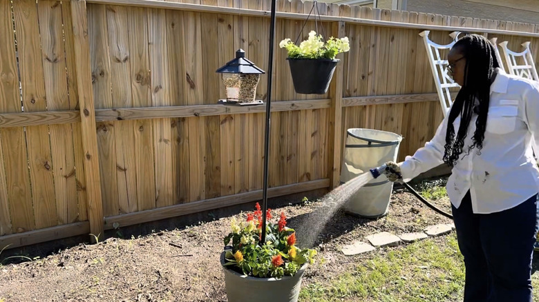 A woman use a garden hose to water the plants in a hanging bird feeder base in a residential backyard.