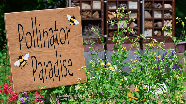 Pollinator Paradise sign with blooming flowers and bee hotel in background