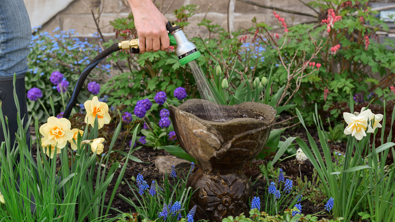 filling up birdbath with water