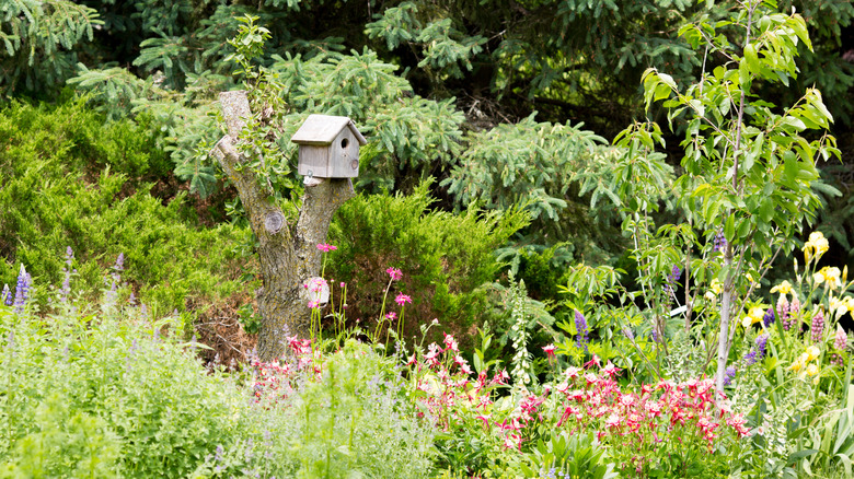 A birdhouse affixed to a stump surrounded by native and exotic layered garden plantings.