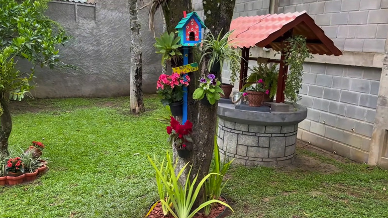 Blue and pink painted birdhouse on a tree with potted plants next to a fake well in a walled yard.