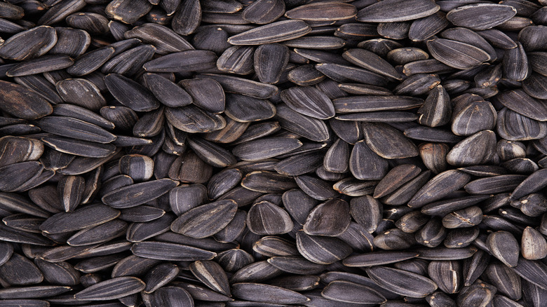 Closeup of a large pile of black sunflower seeds