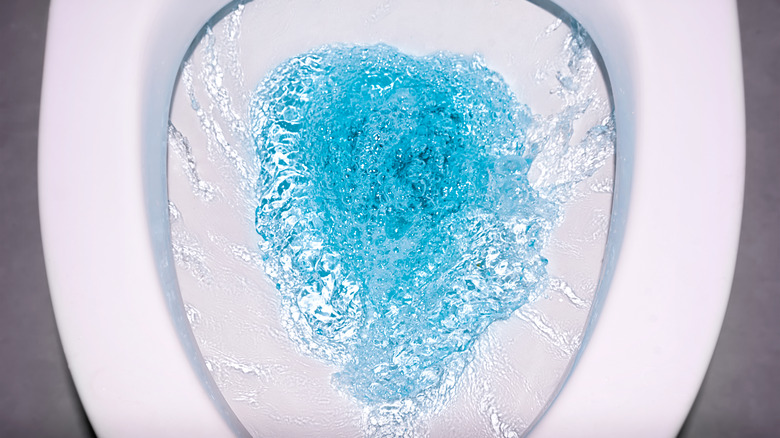 Blue water in toilet bowl