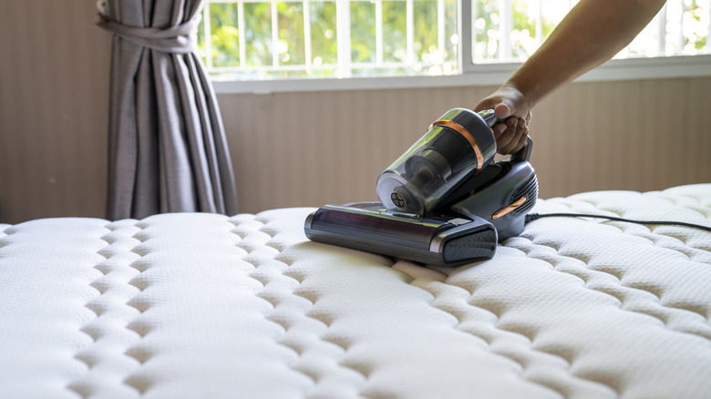 Cropped view of person removing dust on mattress with vacuum cleaner