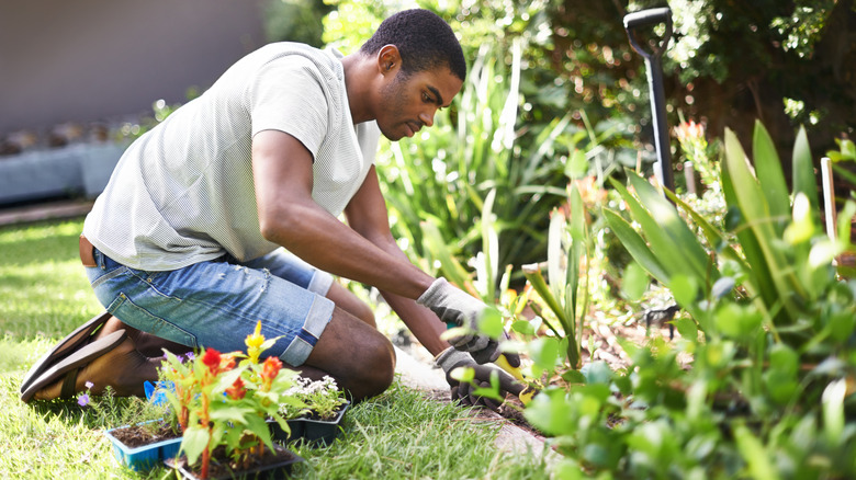 Man gardening