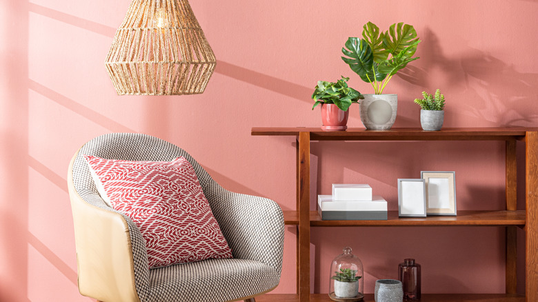 Baby pink wall, with a chair and bookshelf on display