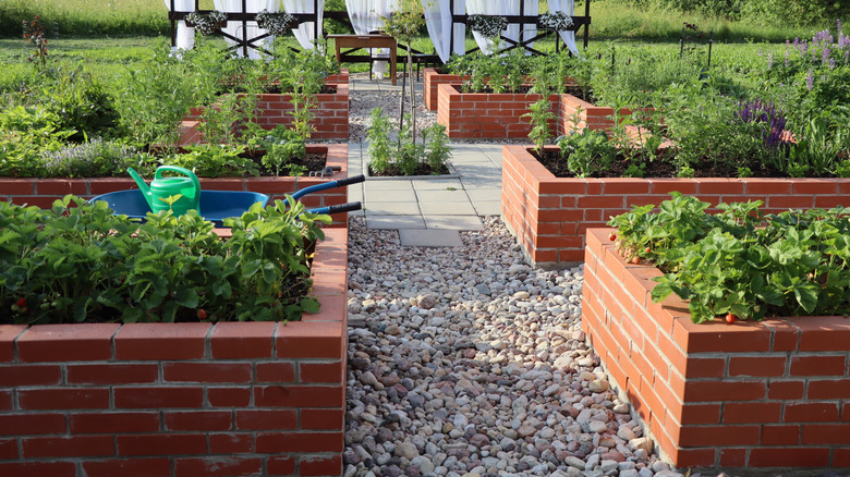 A collection of raised brick garden beds planted with different vegetables and herbs