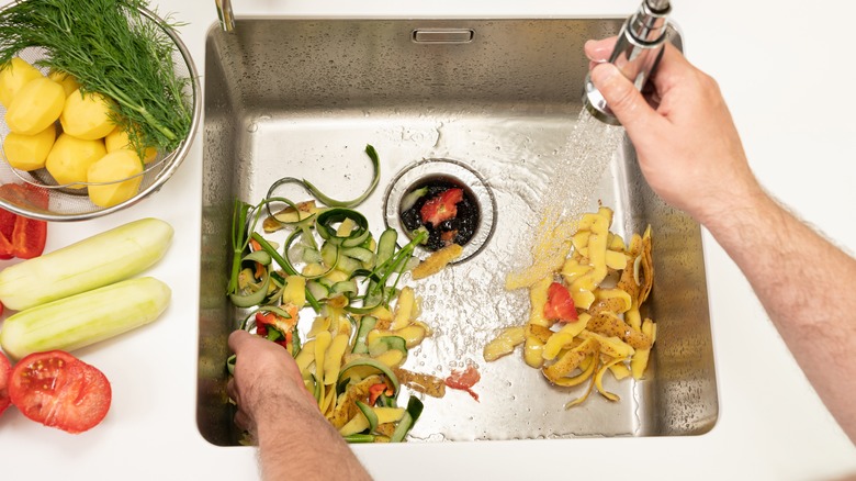 Vegetable scraps in garbage disposal