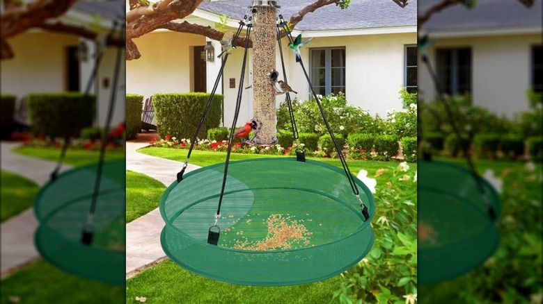 A green mesh hoop seed catching tray hangs below a birdfeeder.