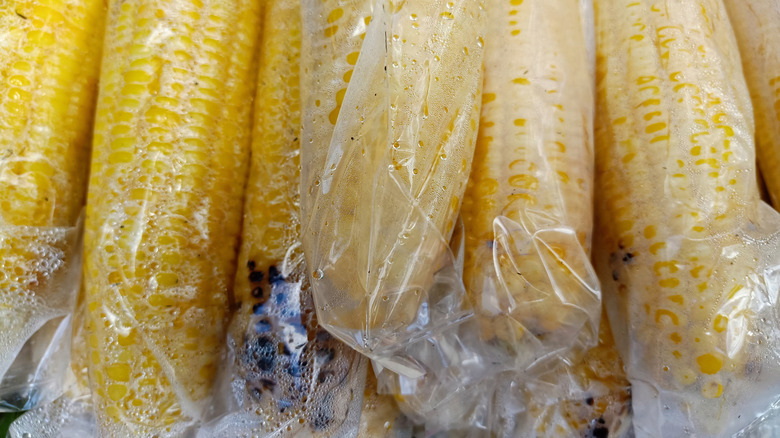 Steaming hot corn on the cob in clear plastic bags