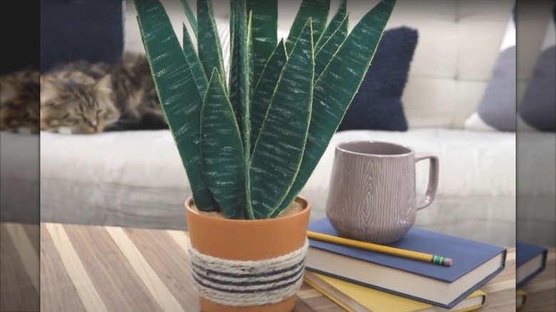 two people demonstrate how to make a fake snake plant from felt