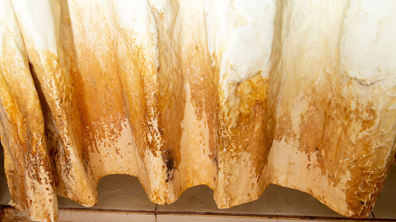 A stained and moldy shower curtain