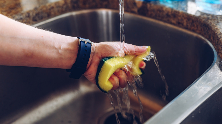 A close up of a person wetting a sponge