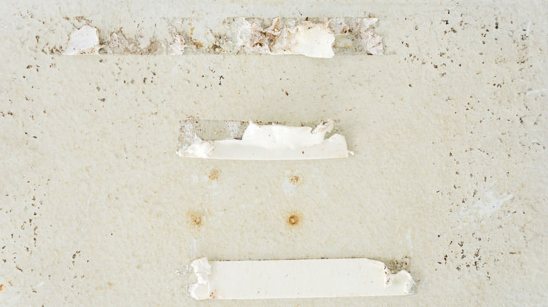Damaged Command adhesives stuck to the wall